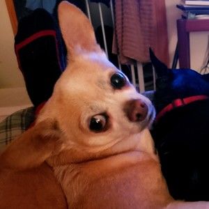 Meet your Posher, Jack